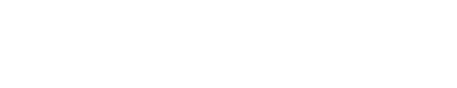 netevolution-logo